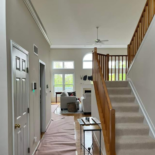 PrecisionProPainters - Visual