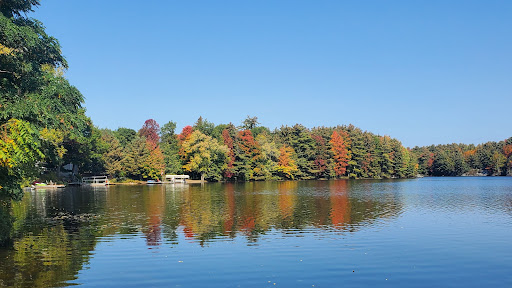 Gull Lake Rotary Park - Thumbnail