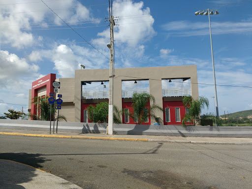 Estadio José Rafael "Palillo" Santiago Alfonso Gallery - United States