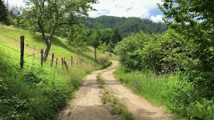 Photo n°2 de Complice Immo à Vigneux-de-Bretagne (Agence immobilière)