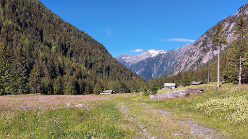 Alpe Sasso Bisolo - Thumbnail