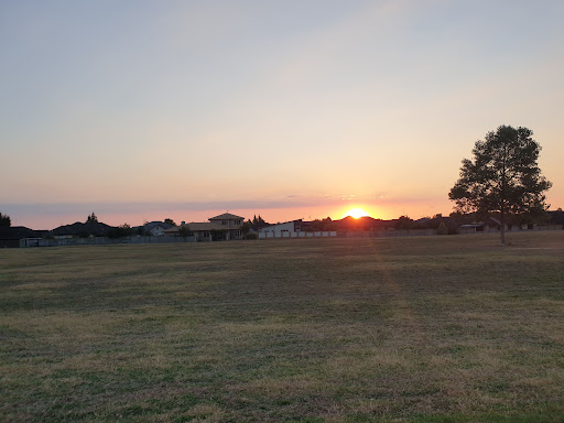 Mangaiti Park Recreation Reserve - Thumbnail