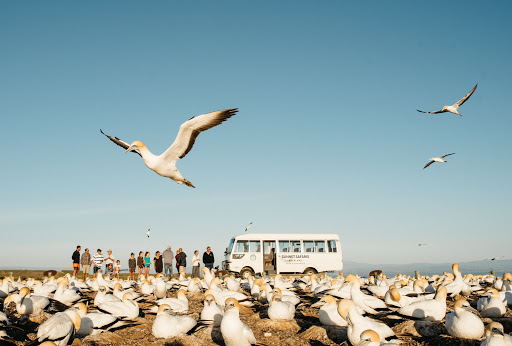 Gannet Safaris Overland Ltd - Thumbnail