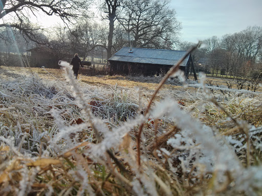 The Old Apple Shed - Thumbnail