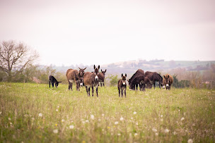 Photo n°2 de Cosméane à Saint-Ybars (Hôtel)