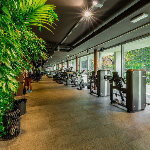 Club Move SA Palestra - Thumbnail