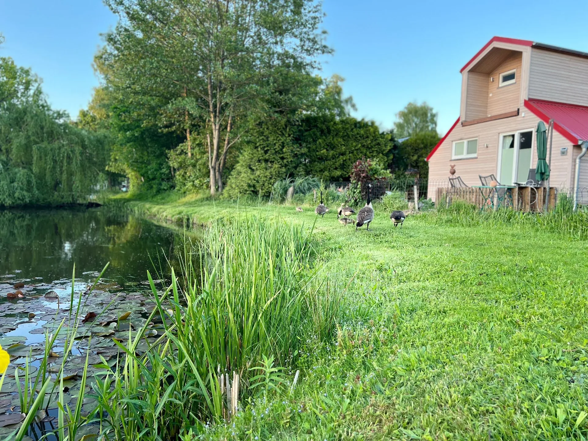 Leisure and Camping Park Tespe Bernd E. K. Fennekohl
