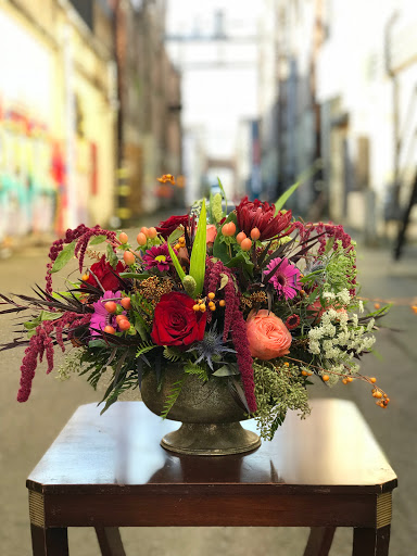 Harbor Blooms - Visual