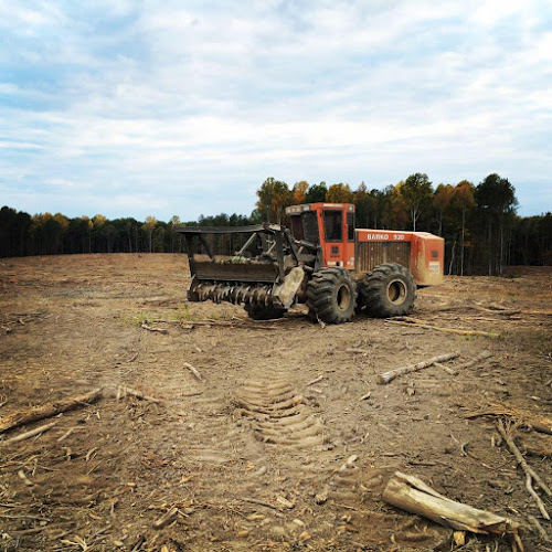 Jernigan's Environmental Services, Inc.