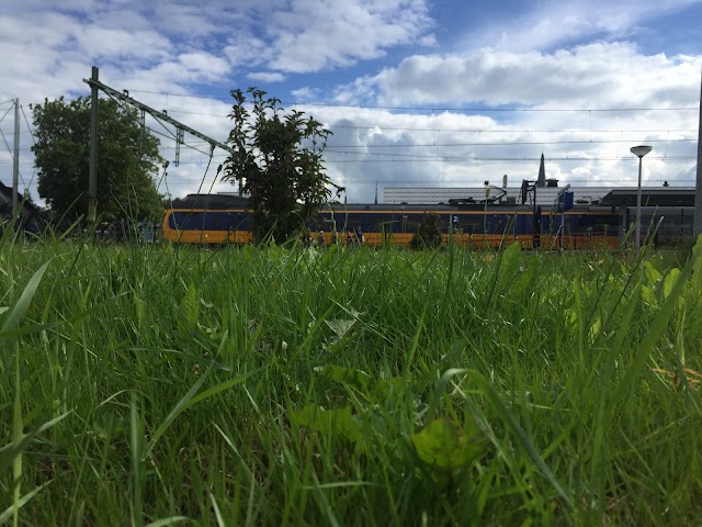 Steenwijk