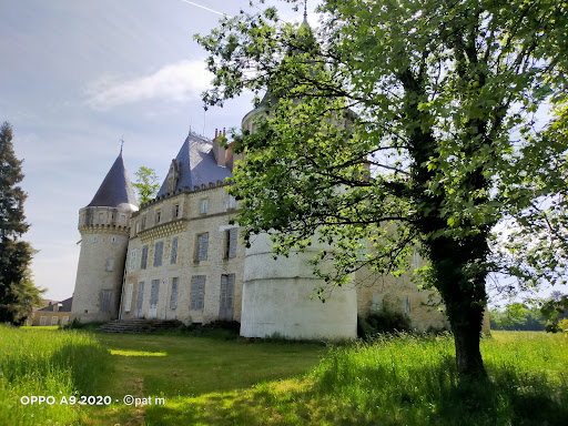 Photo de Château de Cuffy à Cuffy (18150)