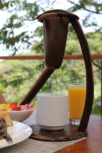 Photos of Hotel Bosque Verde Lodge