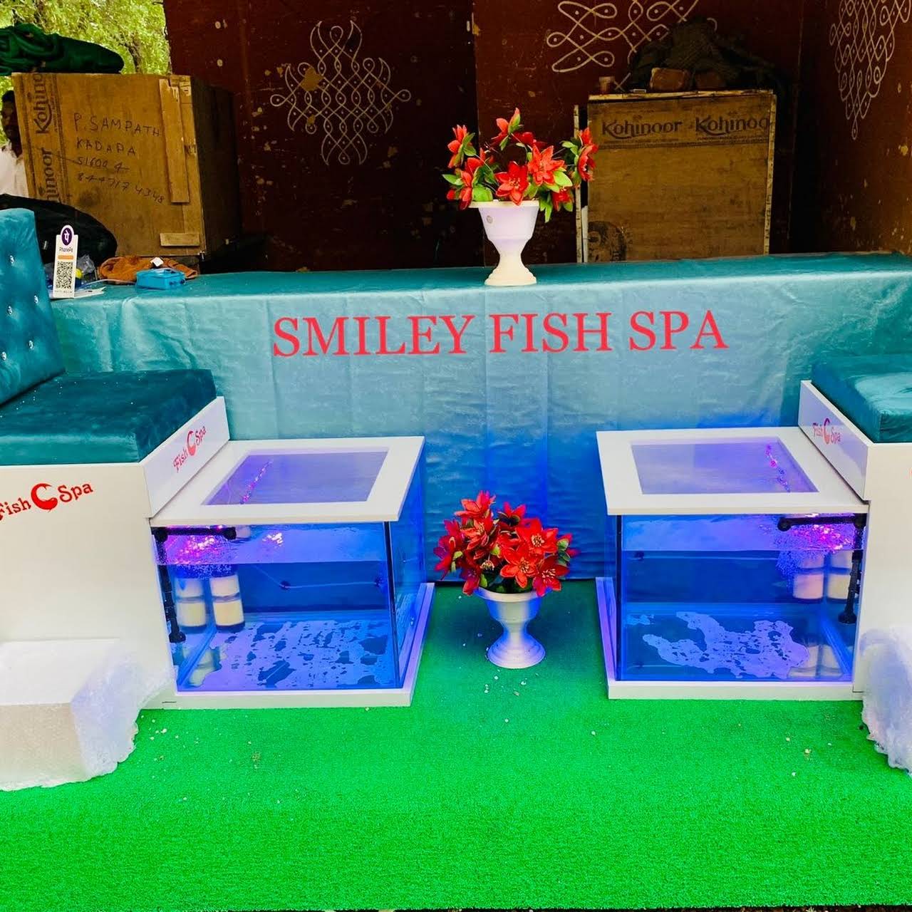 Information about the Fish – SmilingFeet Fish Spa Official website