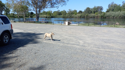 Pat Alley Memorial Dog Park - Thumbnail