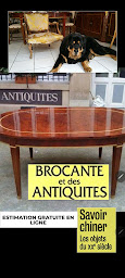Photo n°4 de Antiquaire Insolite à Bourbonne-les-Bains (Magasin d'antiquités)