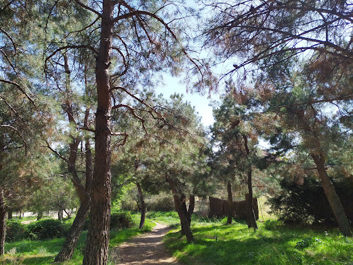 Machucho Park - Thumbnail