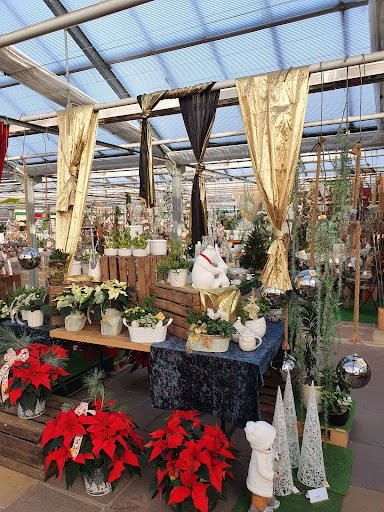 Wiesmoor Blumencenter Wiesmoor - Thumbnail