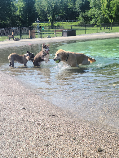 Furfield Dog Park - Thumbnail
