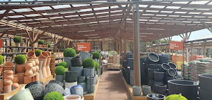 Photo n°5 de JARDILAND à Jaux (Pépinière)