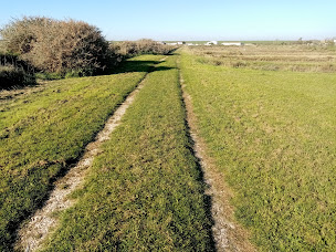 Photo n°7 de CABANE BONNAIN Huîtres à L'Houmeau (Restaurant)