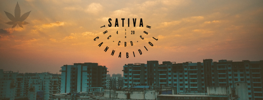 Destigmatizeweed - Visual