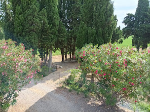 Photo n°11 de Domaine Le Piboul, Fontcouverte à Fontcouverte (Appartement de vacances)