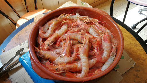 Coquer - Visual