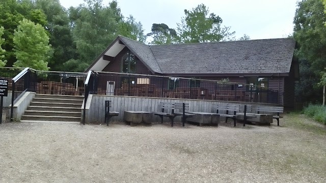 Place around image