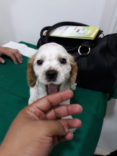 Photos of VETERINARY CLINIC Universe