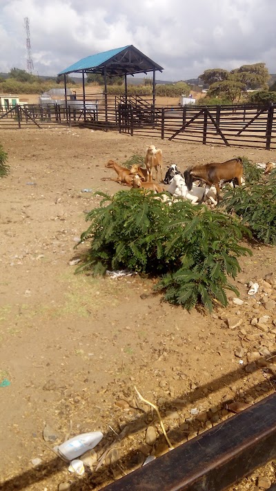 Photos of Mararal Livestock Market