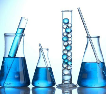 DESINFECCIONES IBIZA