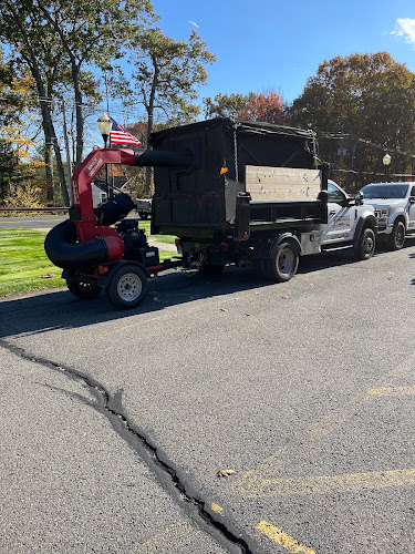 Cocchiola Landscaping LLC