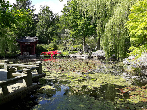 Haren Hortus Botanicus - Thumbnail