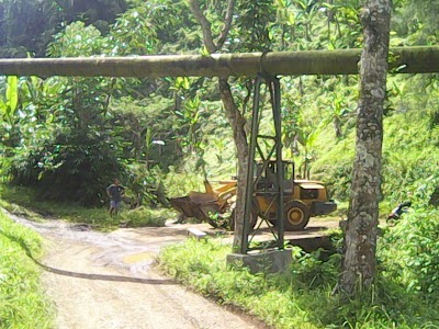 Photos of Kebun Teh Kertowono,Gucialit, Kab.Lumajang