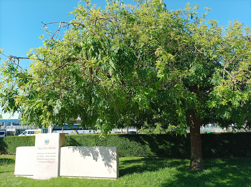 Cemetery in the city of Creteil - Thumbnail