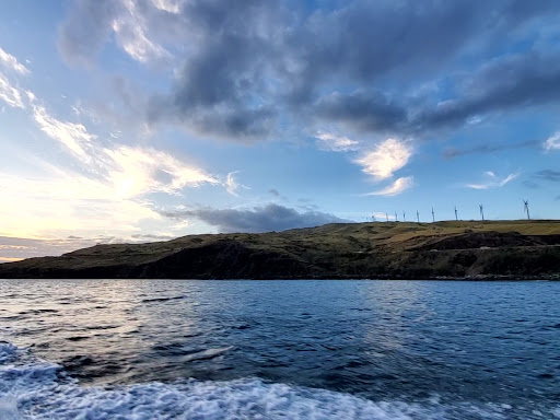 Maui Pacific Divers & Private Charters - Thumbnail