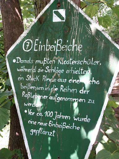 Schülerhöhle - Visual