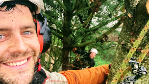 Photo n°1 de Niv'élagage / Votre élagueur pour vos tailles d’arbres, Abattage, Démontage et conseils. à Fontenay-le-Comte (Paysagiste)