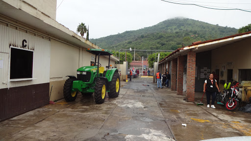 Jefatura De Parques y Áreas Verdes Gallery - Mexico