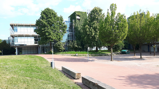Albertus-Magnus-Gymnasium Ettlingen - Thumbnail