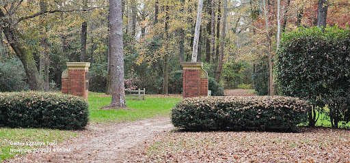Hitchcock Woods Foundation - Thumbnail
