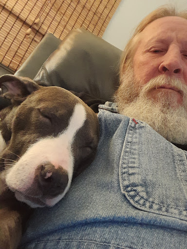 Galveston County Animal Services - Thumbnail
