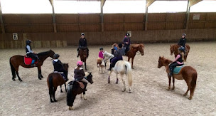 Photo n°21 de EQUISPORTS à Erstein (Centre équestre)