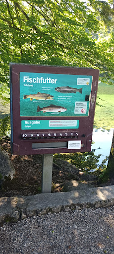 Fischfutter-Automat - Visual