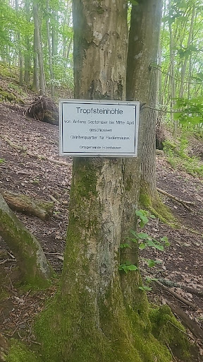 Tropfsteinhöhle Erzenhausen - Thumbnail