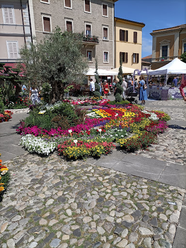 Casale Strada - Visual