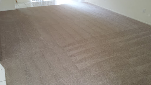 The Carpet & Tile Care Company - Thumbnail