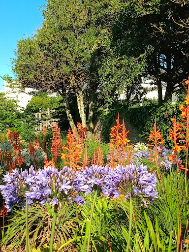Brétinio Garden - Thumbnail