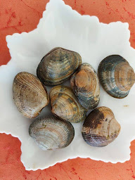 Photo n°9 de Huîtres Papin Moufflet à Le Gua (Restaurant de fruits de mer)