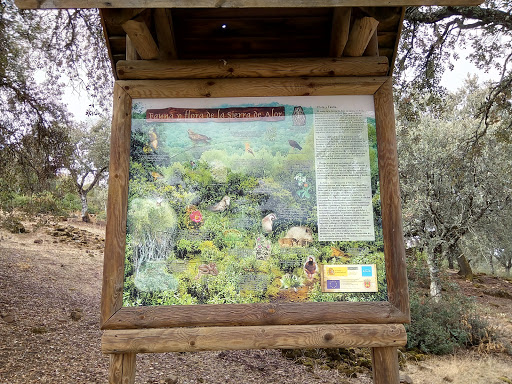 Parque Alamillo - Visual